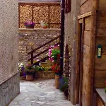 Charming, Cozy, And Bright דירה